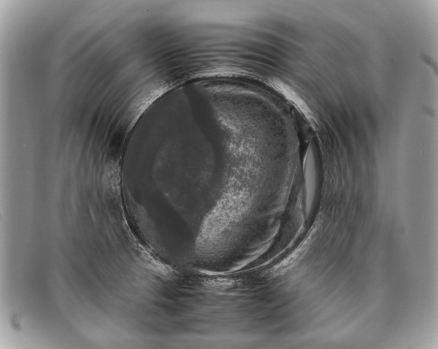 X0000098021329200804111248