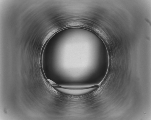 X0000098021330200804111248