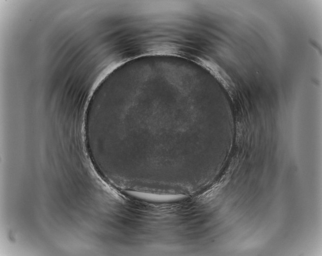 X0000098021331200804111248