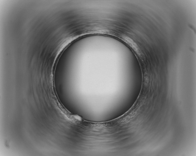 X0000098021332200804111248