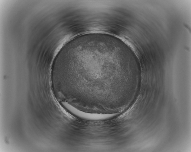 X0000098021333200804111248