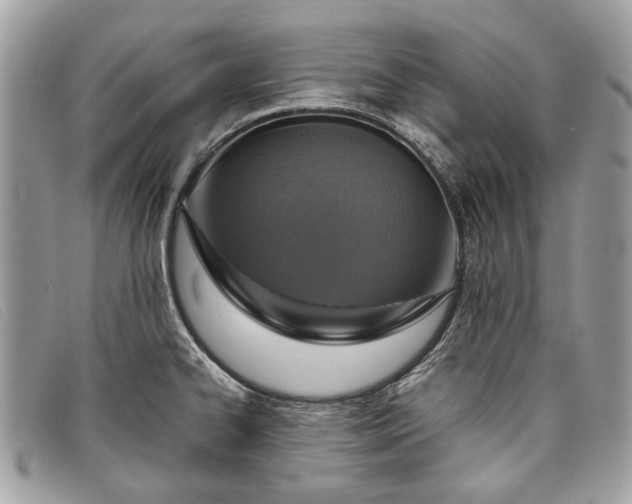 X0000098021334200804111248