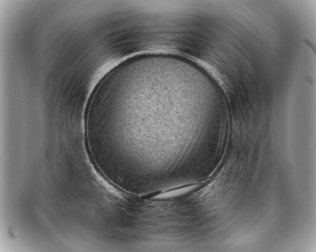 X0000098021335200804111248