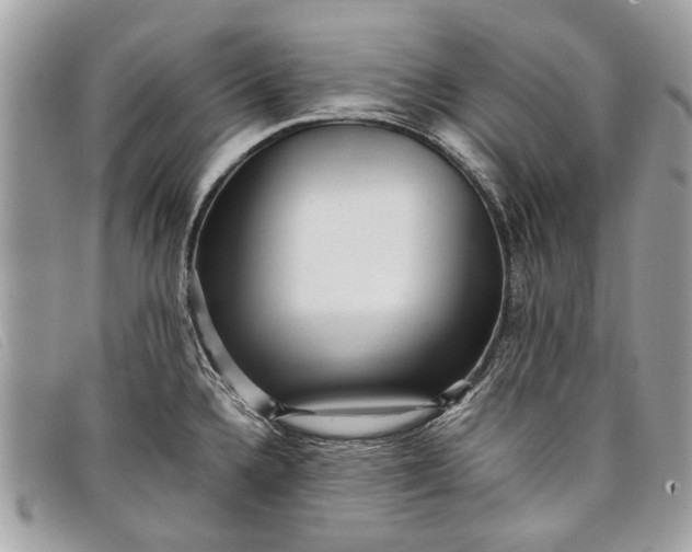 X0000098021336200804111248