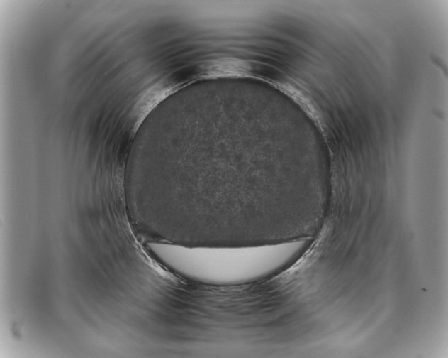 X0000098021337200804111248