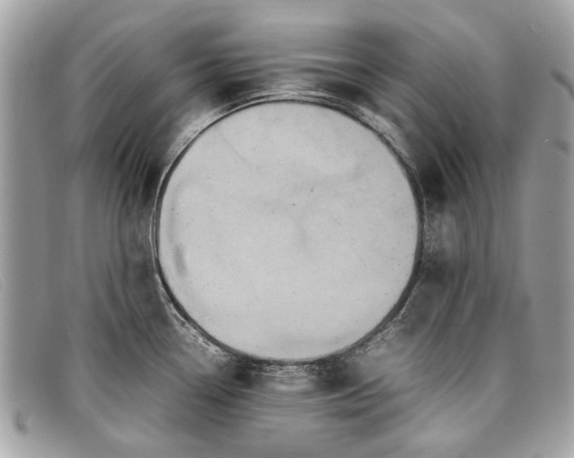 X0000098021338200804111248