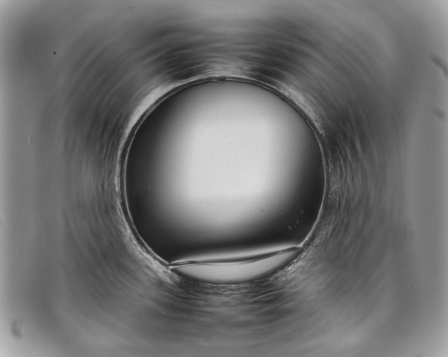 X0000098021339200804111248