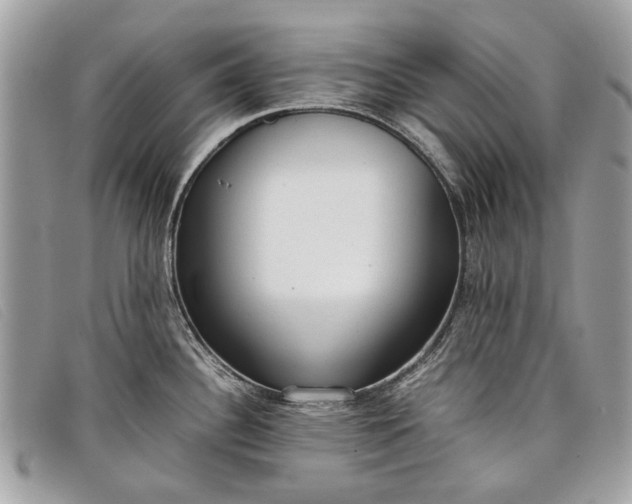 X0000098021340200804111248