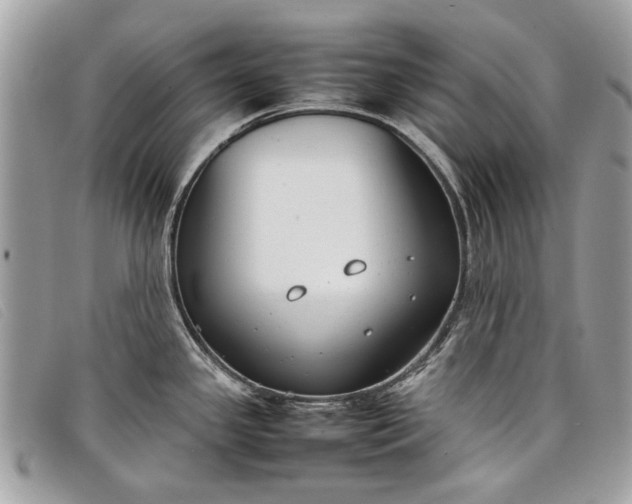 X0000098021341200804111248