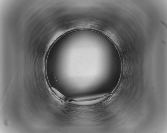 X0000098021342200804111248