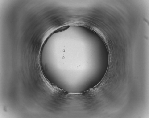 X0000098021344200804111248