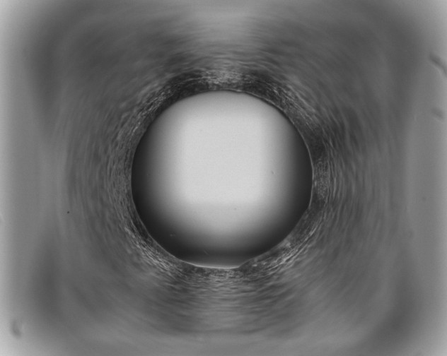 X0000098021345200804111247