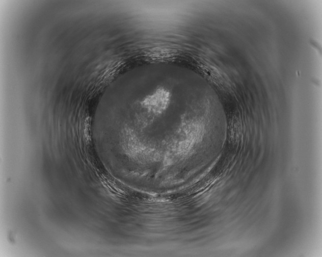 X0000098021346200804111247