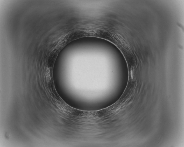 X0000098021347200804111247