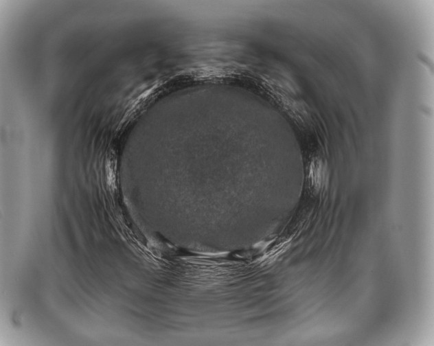 X0000098021348200804111247