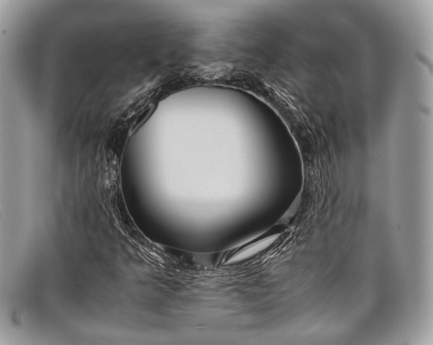 X0000098021349200804111247