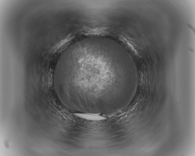 X0000098021350200804111247