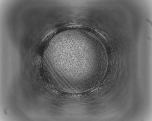 X0000098021351200804111247