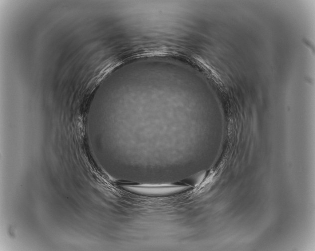 X0000098021353200804111247