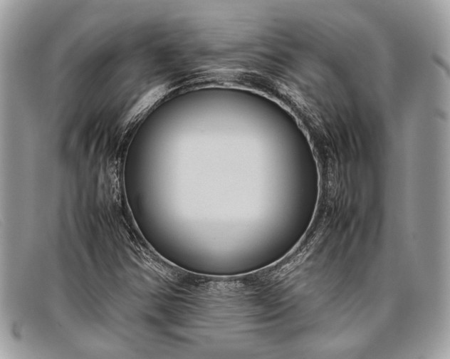 X0000098021354200804111247