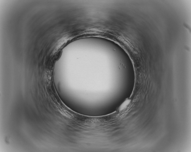 X0000098021355200804111247