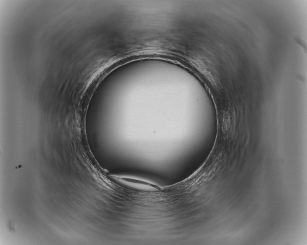 X0000098021356200804111247