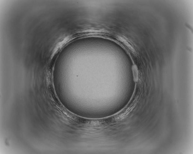 X0000098021357200804111247