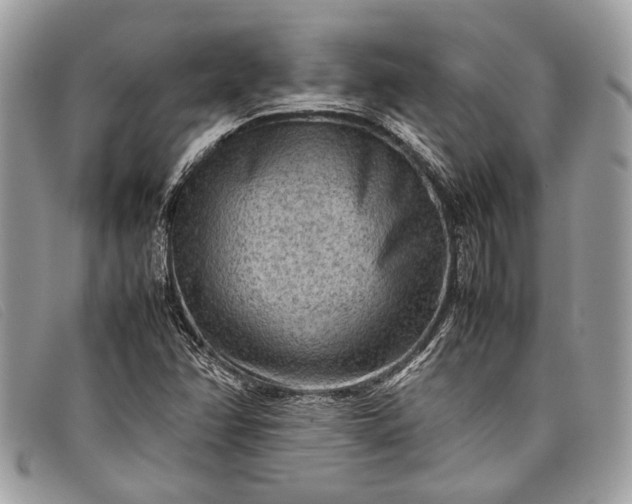 X0000098021358200804111247