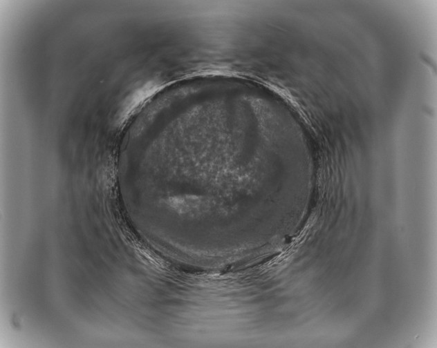 X0000098021359200804111247