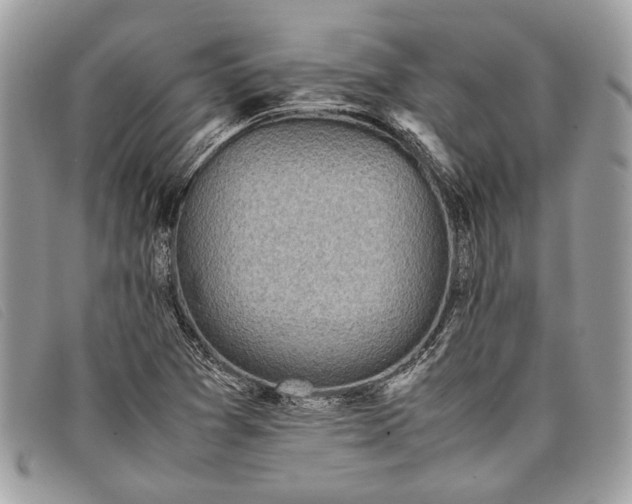 X0000098021361200804111247