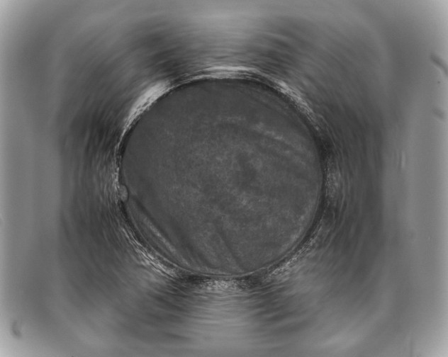 X0000098021362200804111247