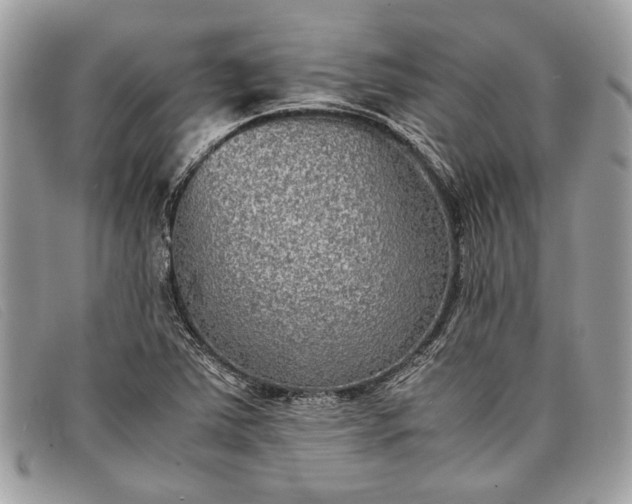 X0000098021363200804111247