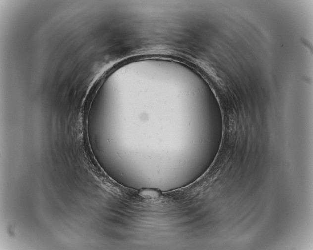 X0000098021364200804111247