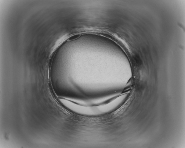 X0000098021365200804111247