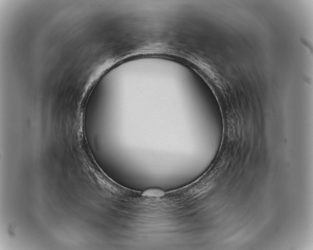 X0000098021366200804111247