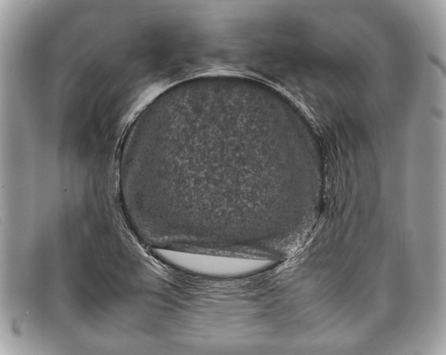 X0000098021367200804111247