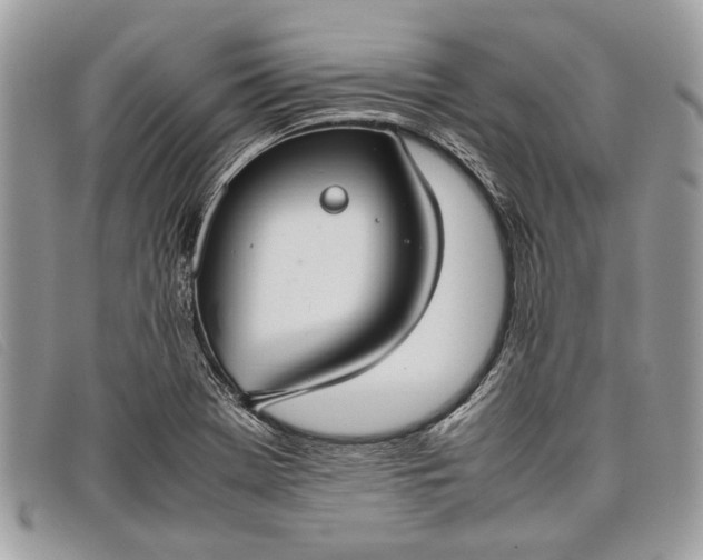 X0000098021369200804111247