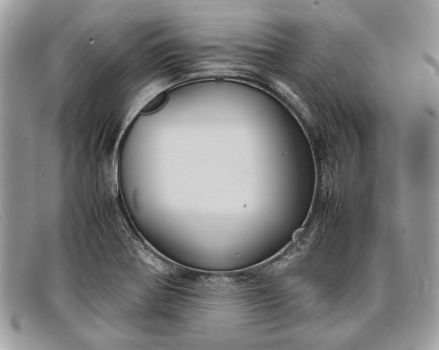 X0000098021370200804111247