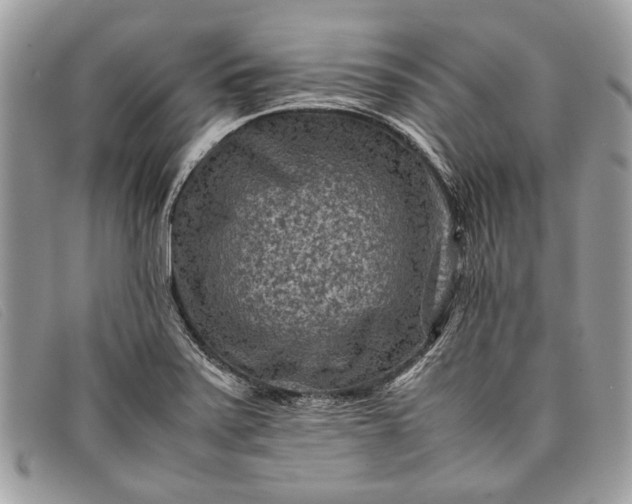 X0000098021371200804111247