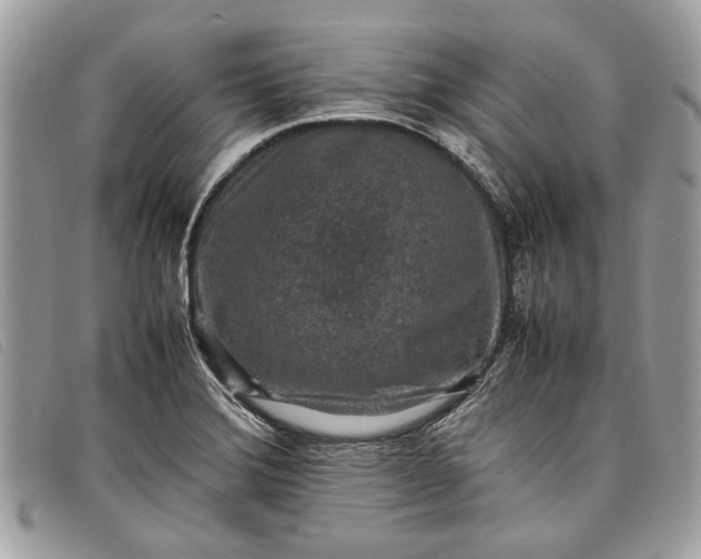 X0000098021372200804111247