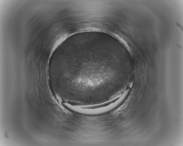 X0000098021373200804111247