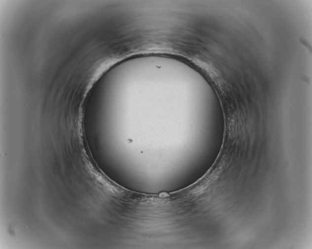 X0000098021374200804111247