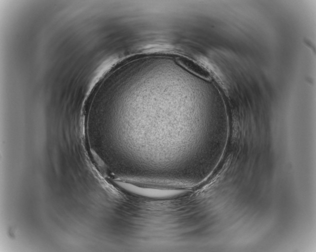 X0000098021376200804111247