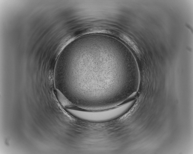 X0000098021377200804111247