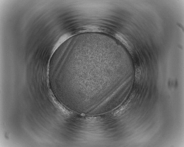 X0000098021378200804111247