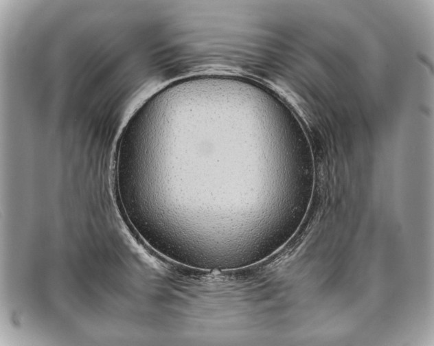 X0000098021379200804111247