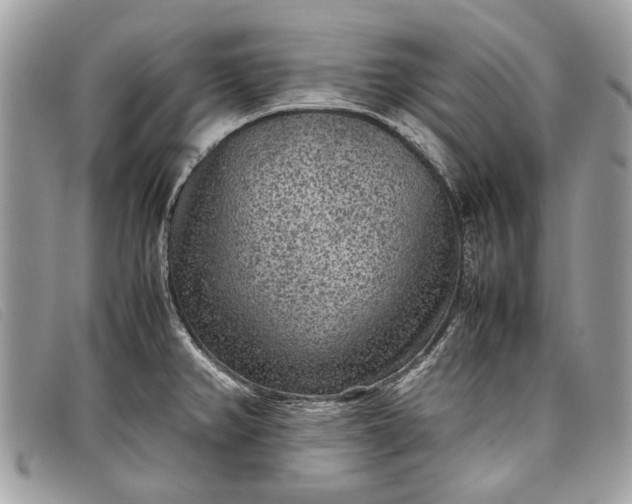 X0000098021382200804111247