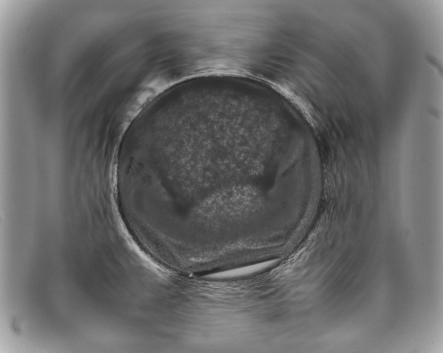 X0000098021383200804111247