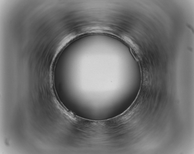 X0000098021384200804111247