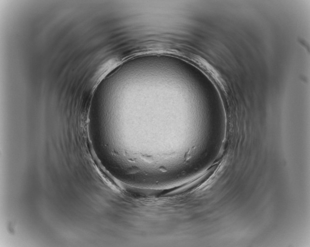 X0000098021385200804111247